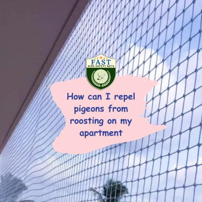 How can I repel pigeons from roosting on my apartment