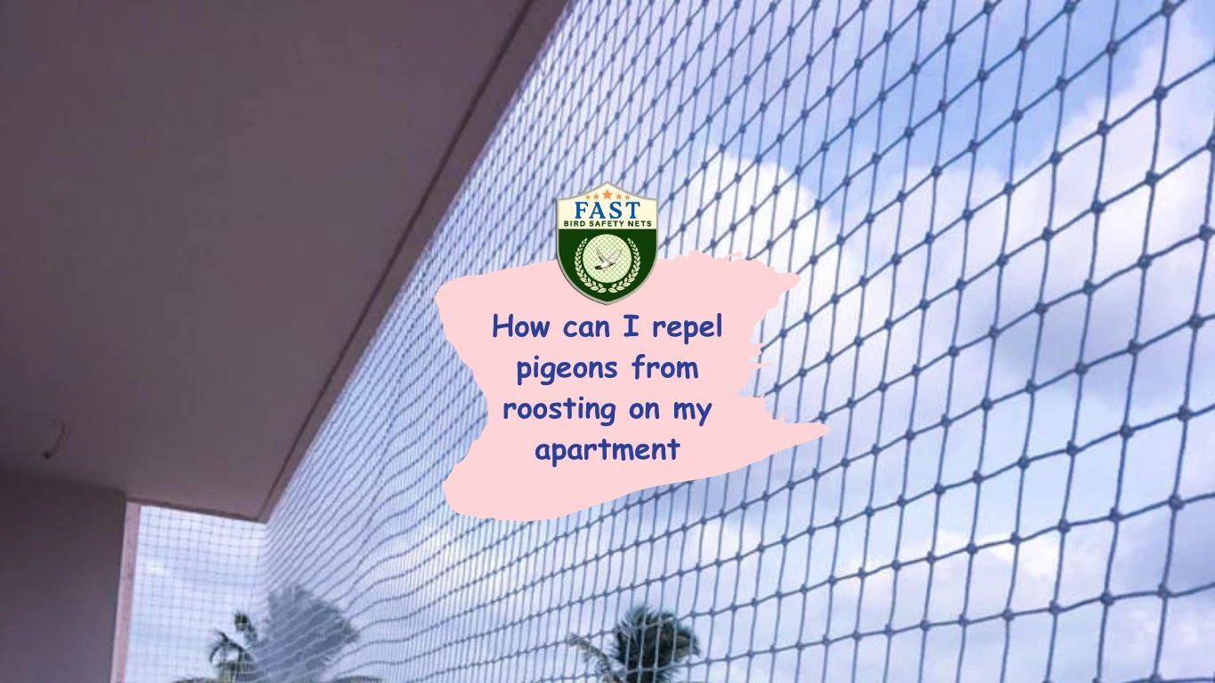 How can I repel pigeons from roosting on my apartment Fast Safety