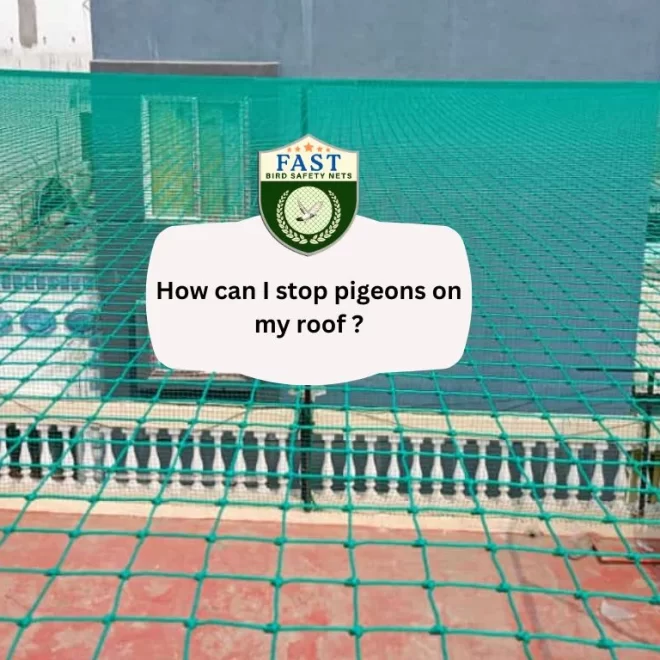 How can I stop pigeons on my roof ?