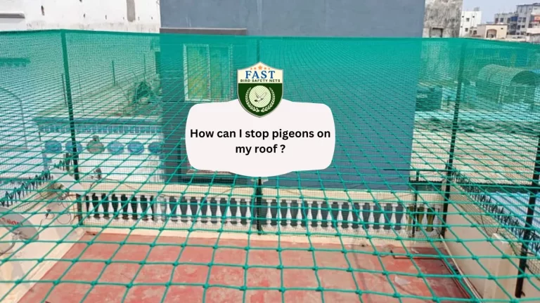 How can I stop pigeons on my roof ?