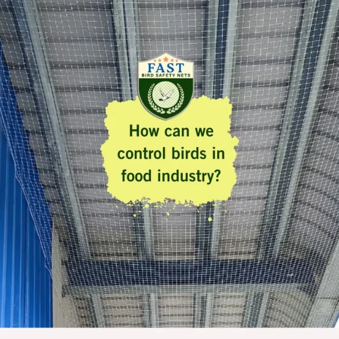 How can we control birds in food industry?