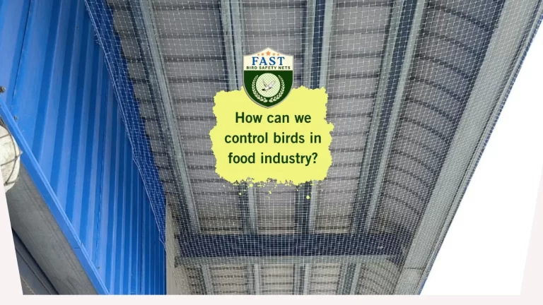 How can we control birds in food industry?