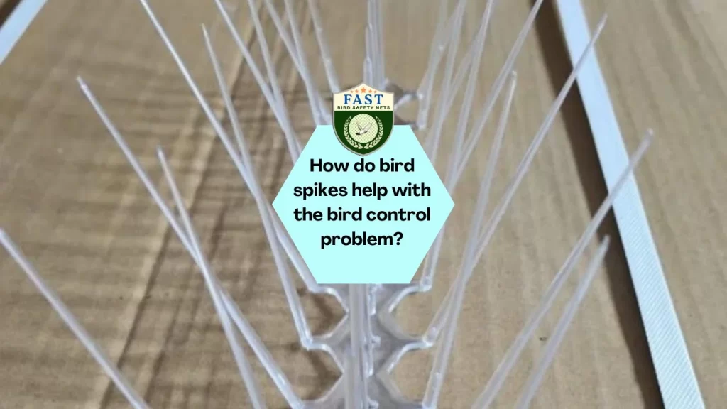 How do bird spikes help with the bird control problem?