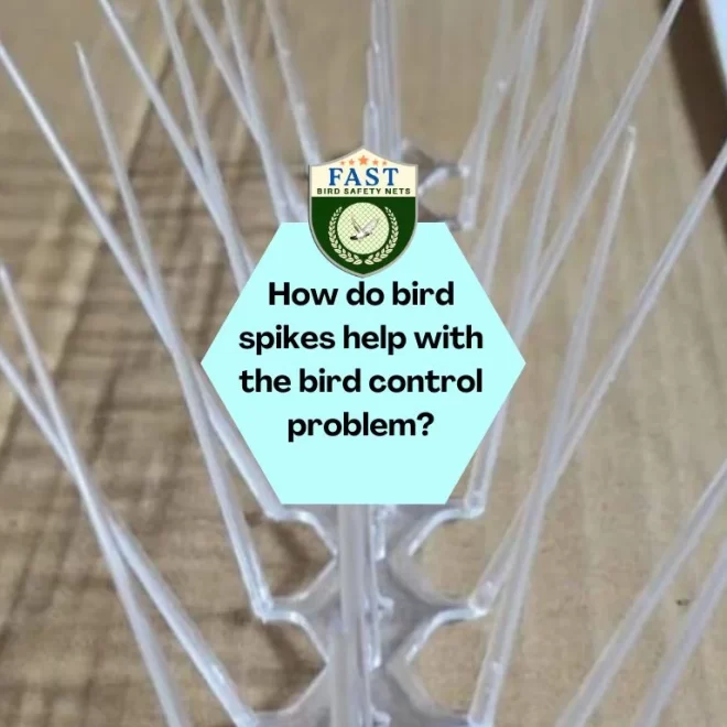 How do bird spikes help with the bird control problem?