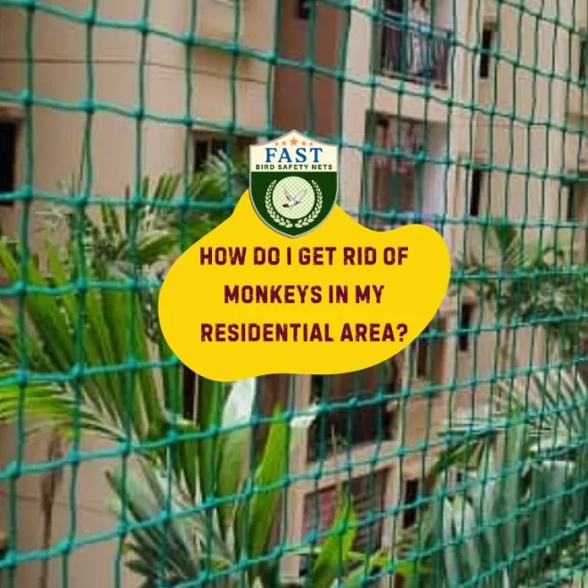How do I get rid of monkeys in my residential area?
