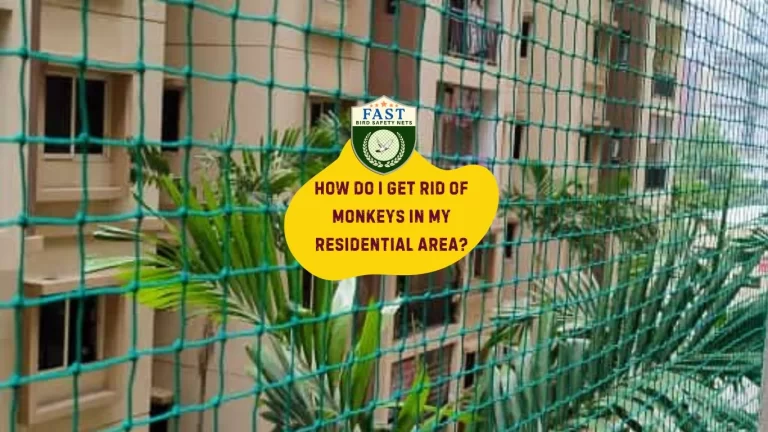 How do I get rid of monkeys in my residential area?