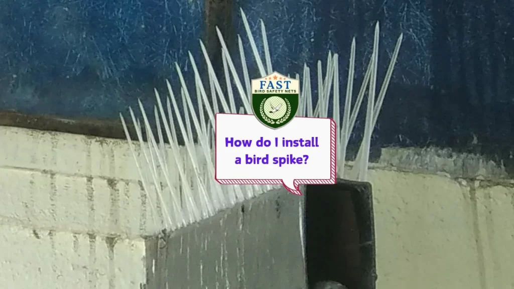 How do I install bird spike?