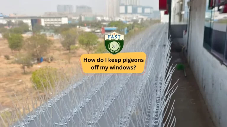 How do I keep pigeons off my windows?