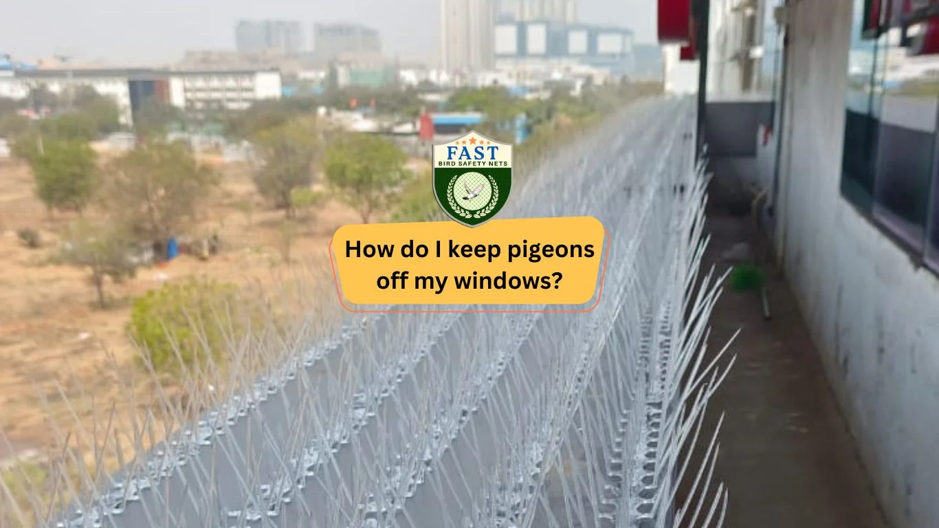 How do I keep pigeons off my windows? Fast Safety Nets Hyderabad