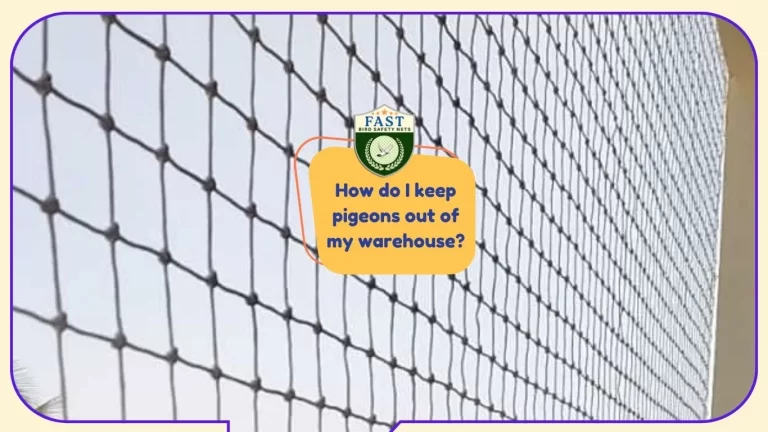 How do I keep pigeons out of my warehouse?