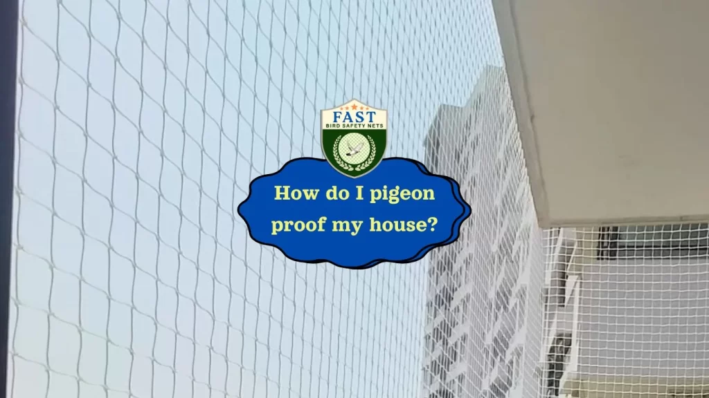 How do I keep pigeons off my walls?