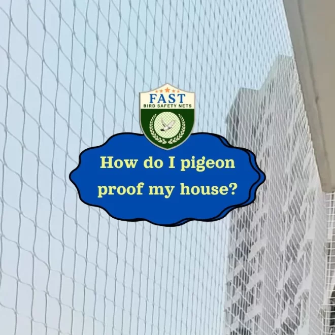 How do I pigeon proof my house?