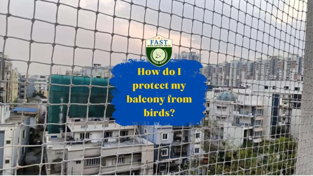 How do i protect my balcony from birds