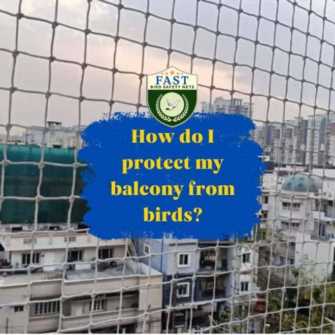 How do I protect my balcony from birds?