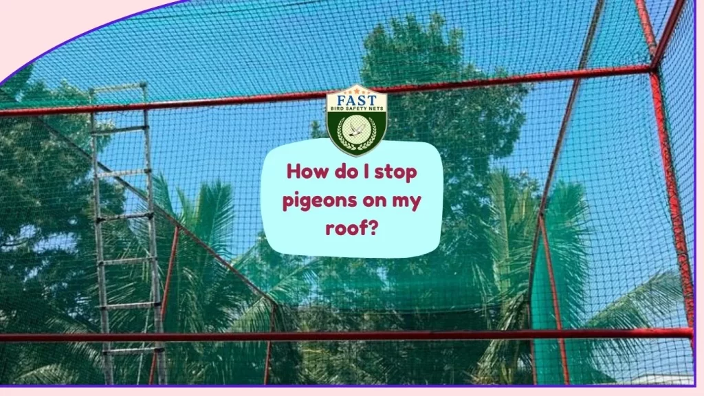 How do I stop pigeons on my roof?