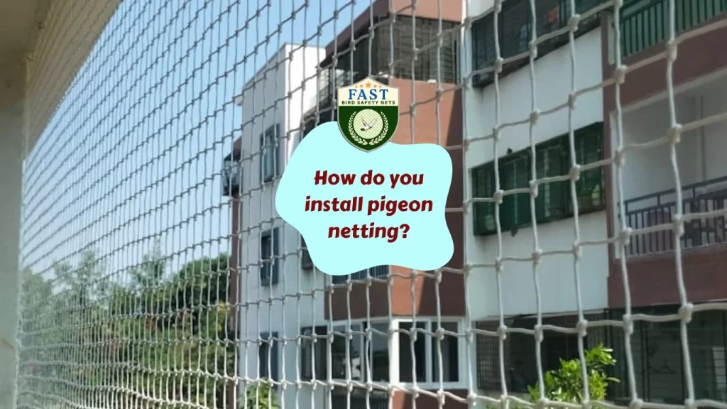 How do you install pigeon netting