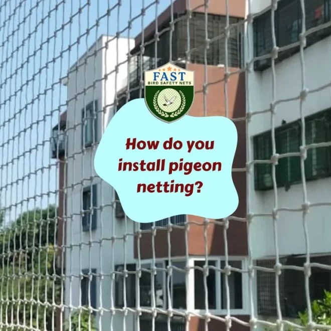 How do you install pigeon netting?