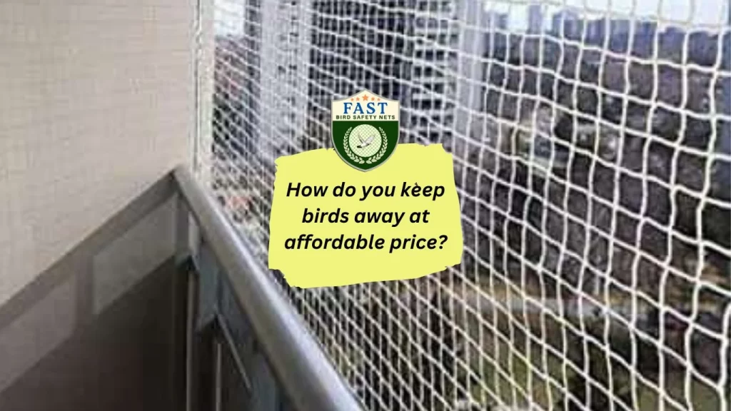 How do you keep birds away at affordable price?