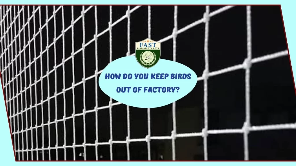 How do you keep birds out of factory