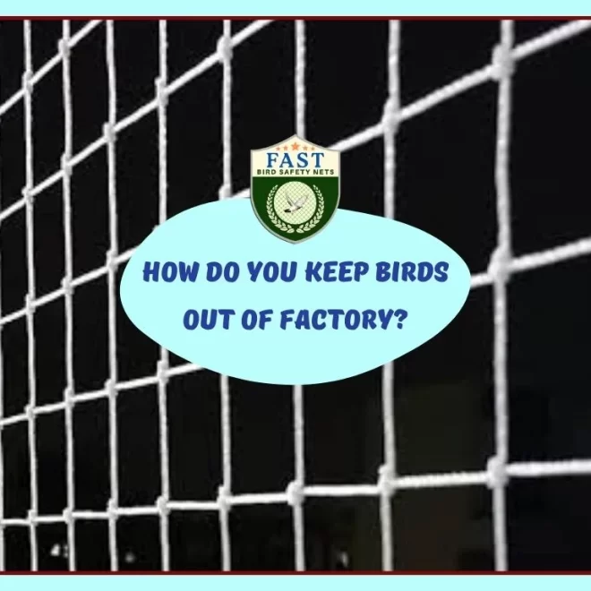How do you keep bird out of factory?