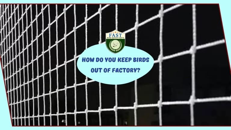 How do you keep bird out of factory?