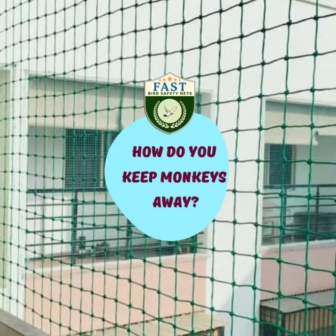 How do you keep monkeys away?