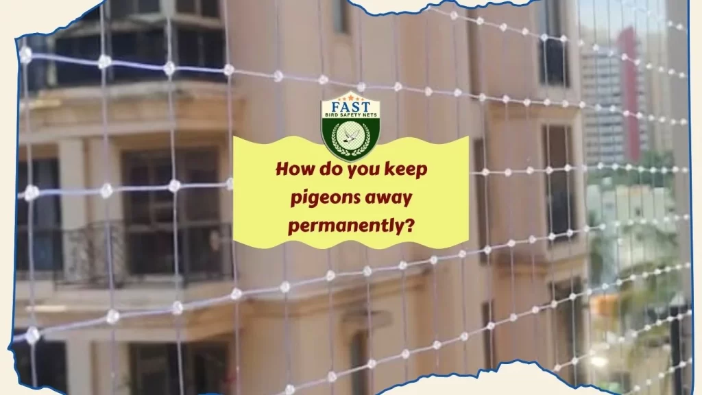 How do you keep pigeons away permanently