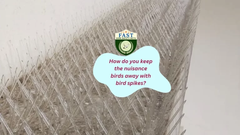 How do you keep the nuisance birds away with bird spikes?
