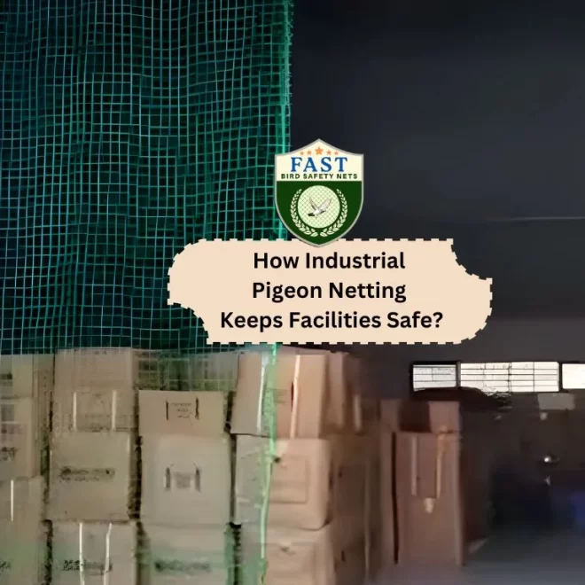 How Industrial Pigeon Netting Keeps Facilities Safe