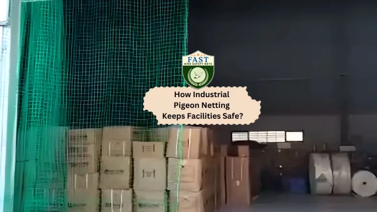 How Industrial Pigeon Netting Keeps Facilities Safe