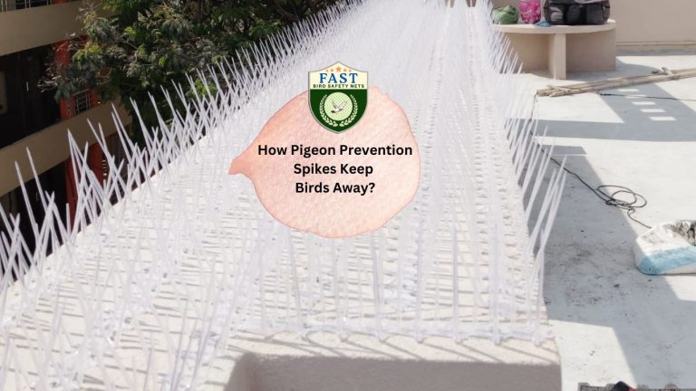 How Pigeon Prevention Spikes Keep Birds Away?