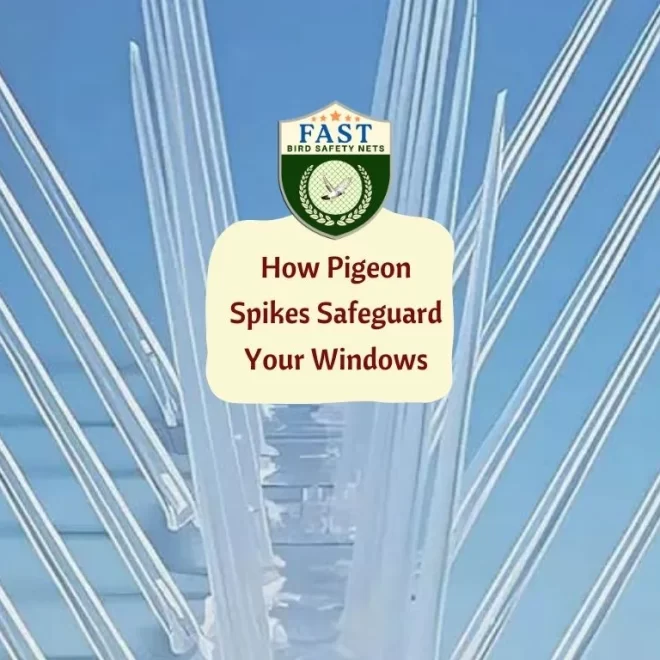 How Pigeon Spikes Safeguard Your Windows