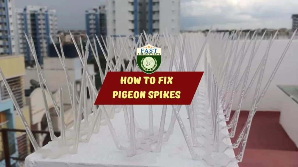 How to fix pigeon spikes fixing