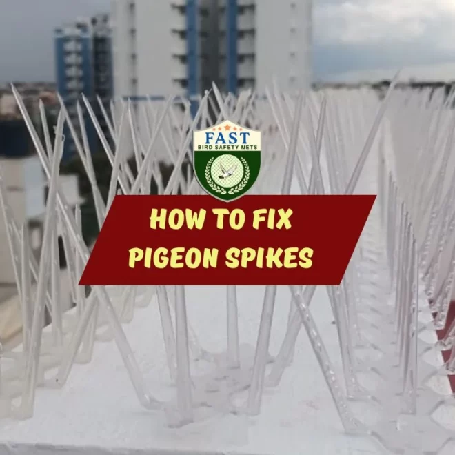 How to Fix Pigeon Spikes