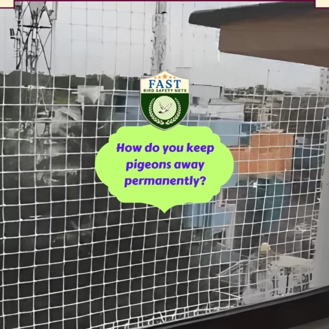 How do you keep pigeons away permanently?