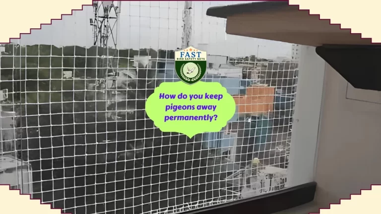 How do you keep pigeons away permanently?