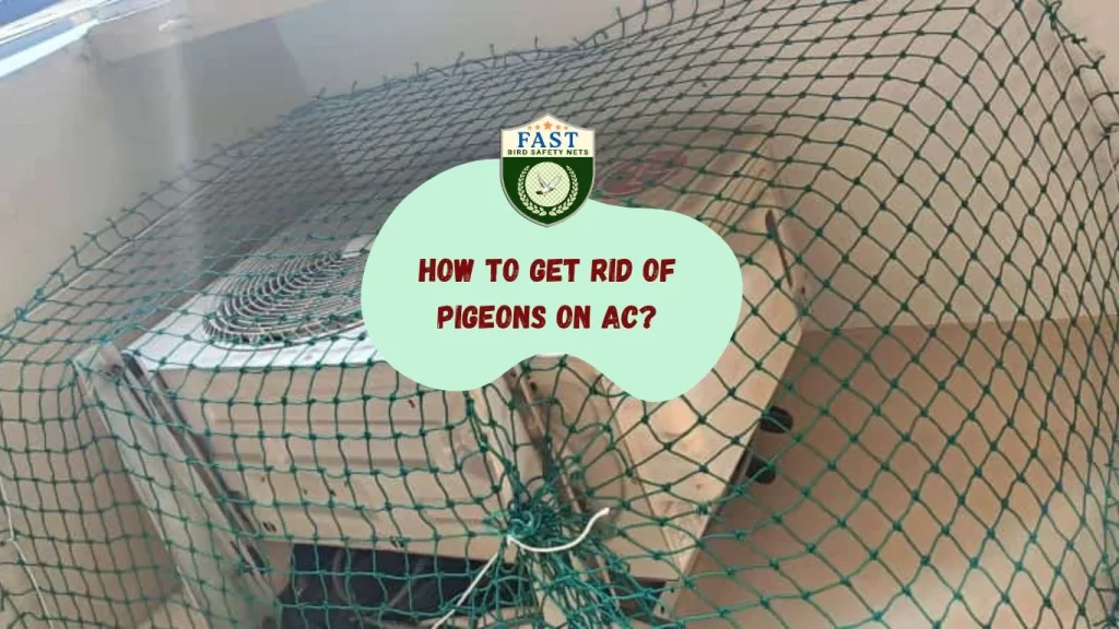 pigeon net for ac