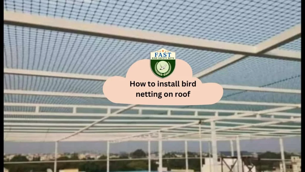 How to install bird netting on roof