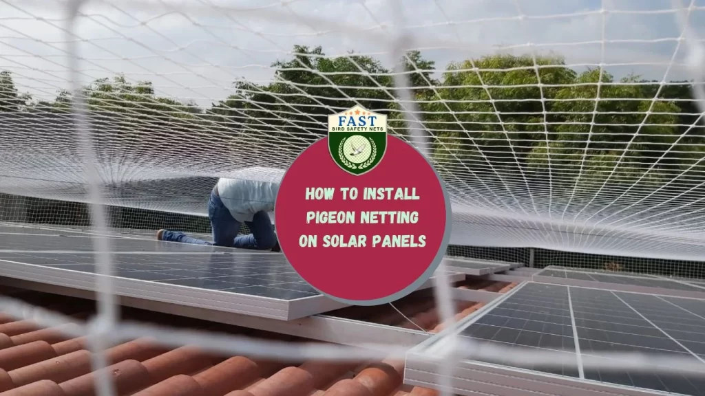 How to install Pigeon Netting on solar panels