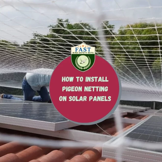 How to install Pigeon Netting on solar panels
