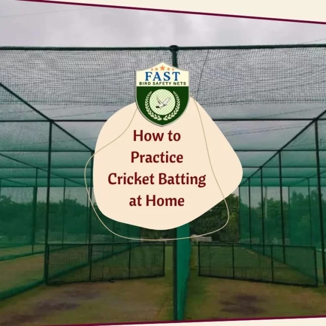 How to Practice Cricket Batting at Home