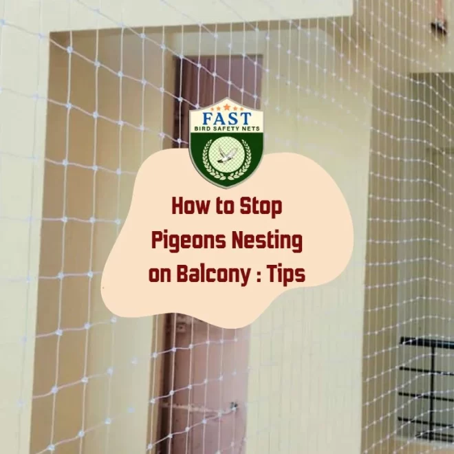 How to Stop Pigeons Nesting on Balcony : Tips