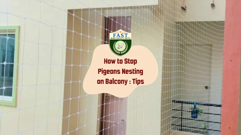 How to Stop Pigeons Nesting on Balcony : Tips