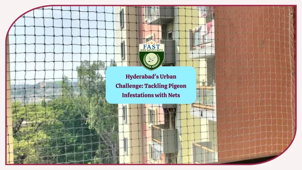 Hyderabad's Urban Challenge - Tackling Pigeon Infestations with Pigeon Nets