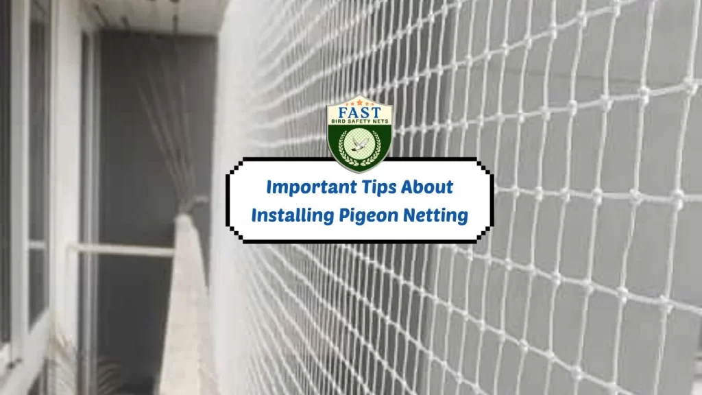 Important Tips About Installing Pigeon Netting