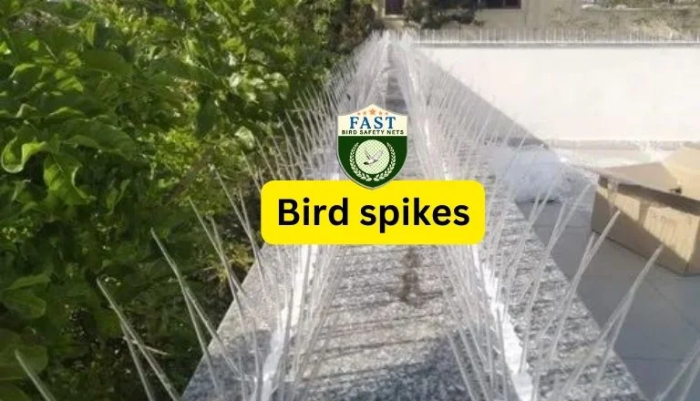 Install Bird Spikes