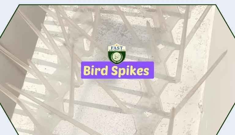 Install Bird Spikes