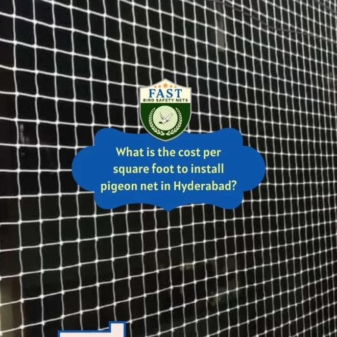 What is the cost per square foot to install pigeon net in Hyderabad?