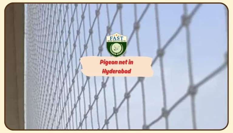 Install Pigeon Net Near Me in Hyderabad