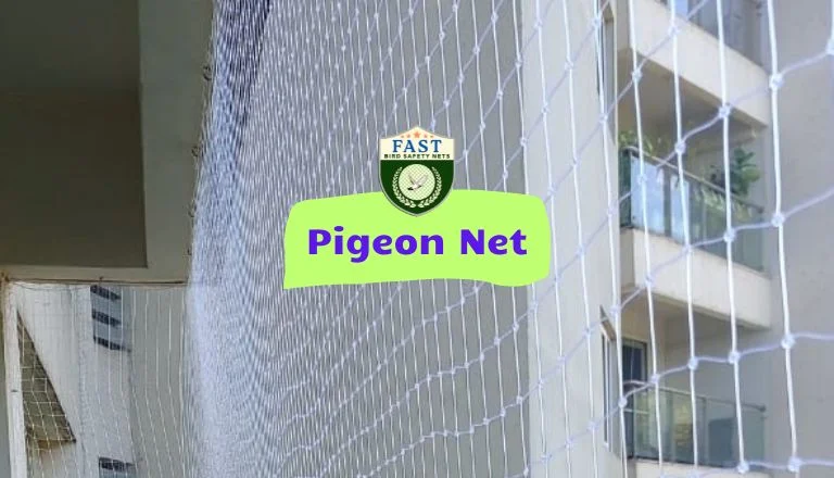 Install Pigeon Nets